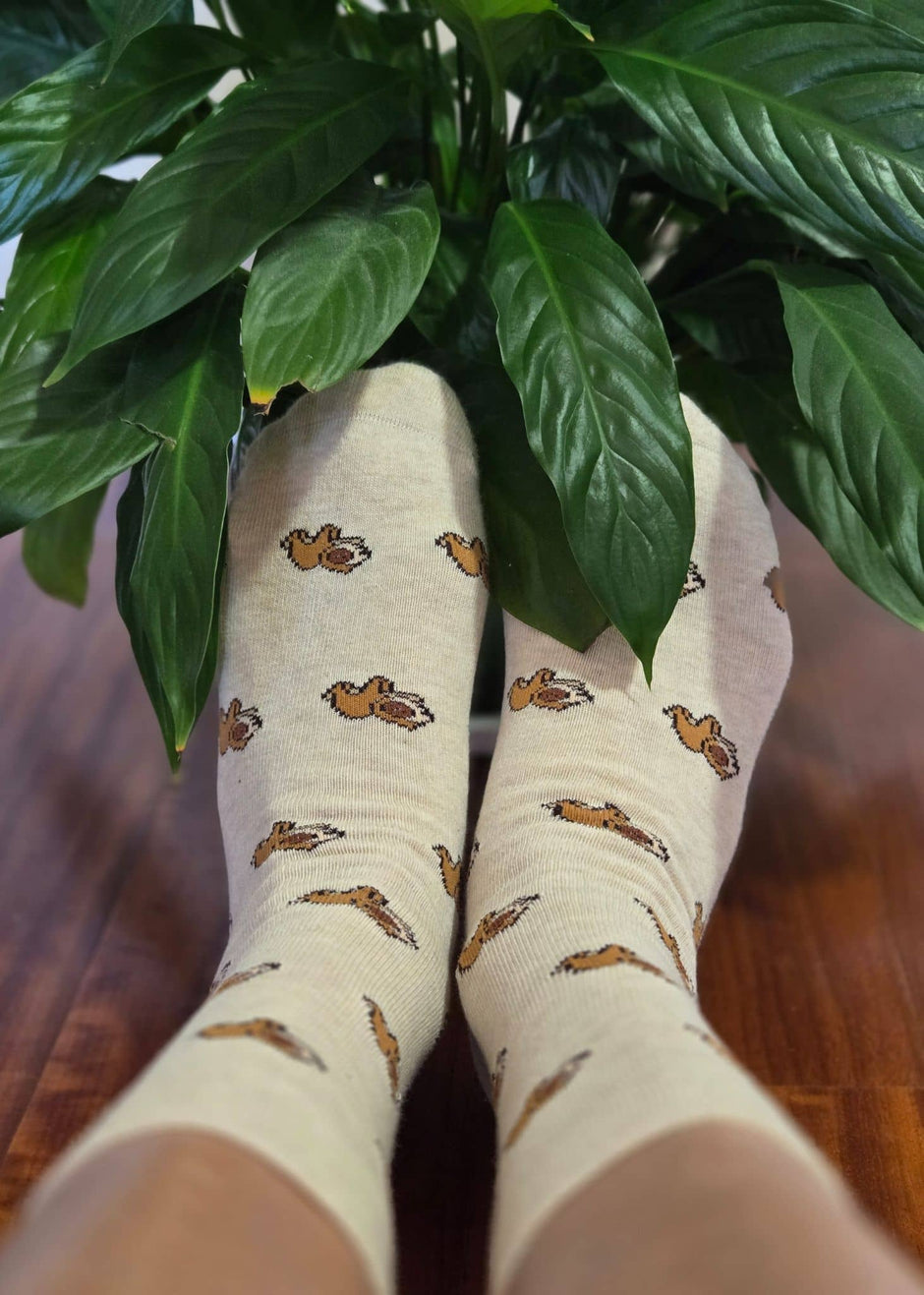 Manta Socks - World's Comfiest Compression Socks
