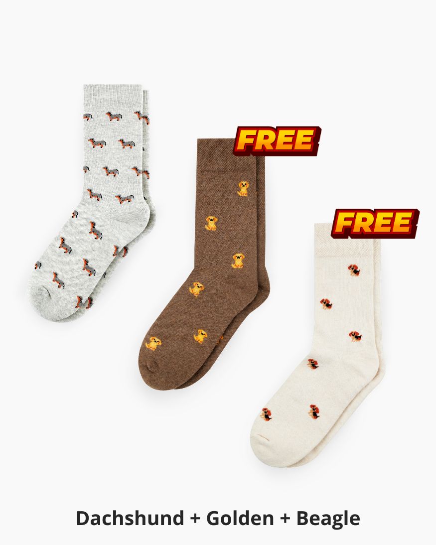 Special Bundle! Buy 1 Get 2 FREE