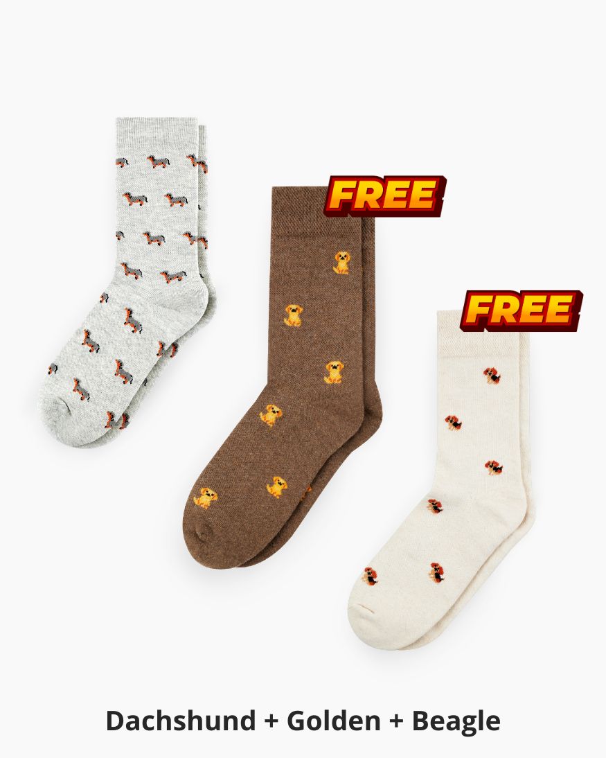 Special Bundle! Buy 1 Get 2 FREE